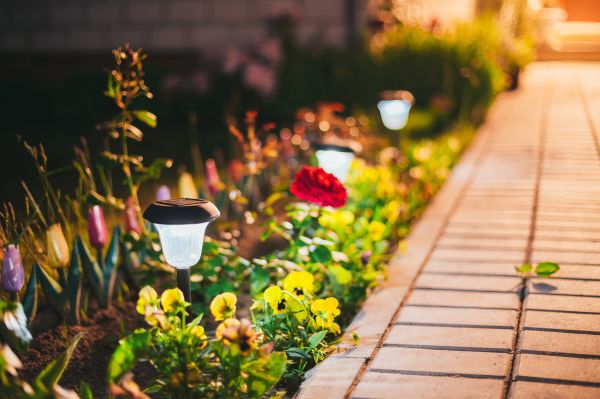 Exterior Lighting Design